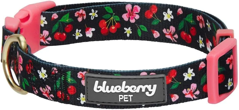 Blueberry Pet Soft & Comfy Plum Purple Dog Collar