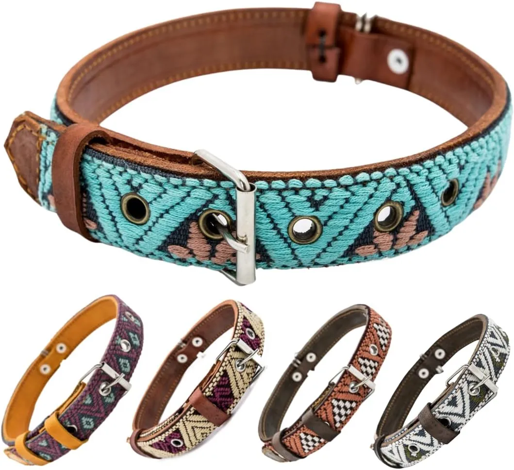 Paw Tribe Western Dog Collar