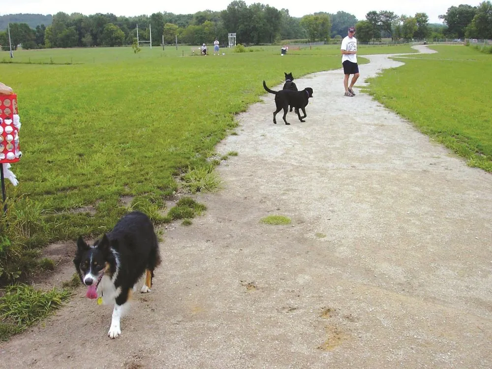 Cheyenne Off-leash Dog Park, Cedar Rapids