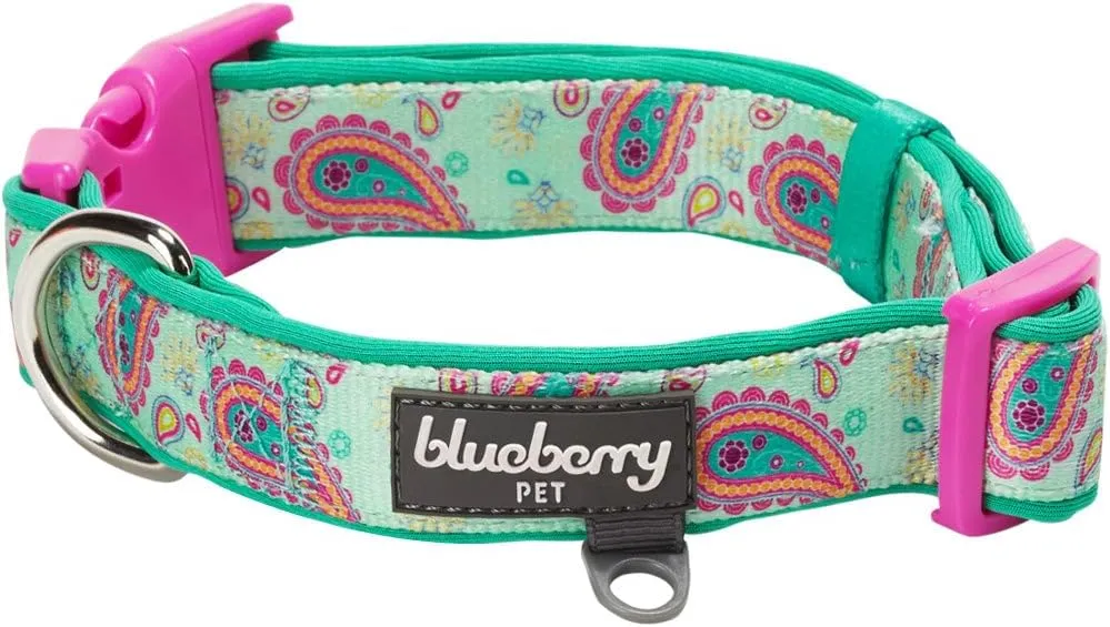 Blueberry Pet Neoprene Dog Collar