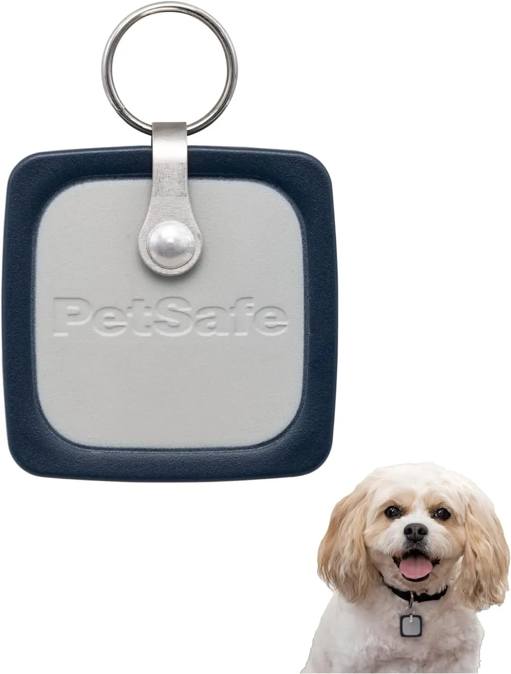 PetSafe SmartDoor Connected Pet Door Key for Dogs and Cats