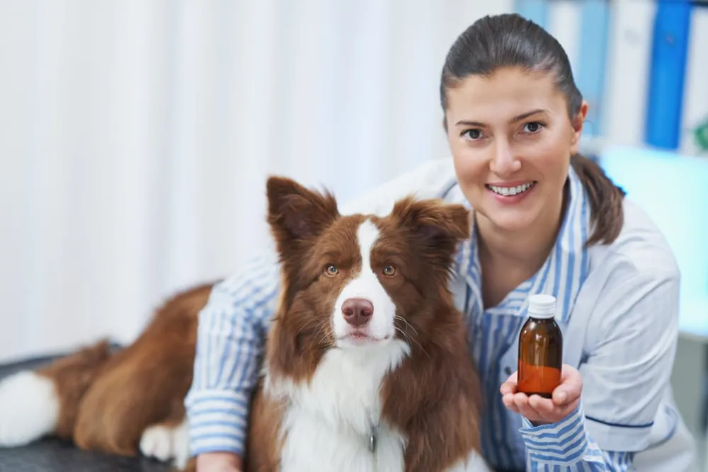 Benefits of L-Tryptophan for Dogs