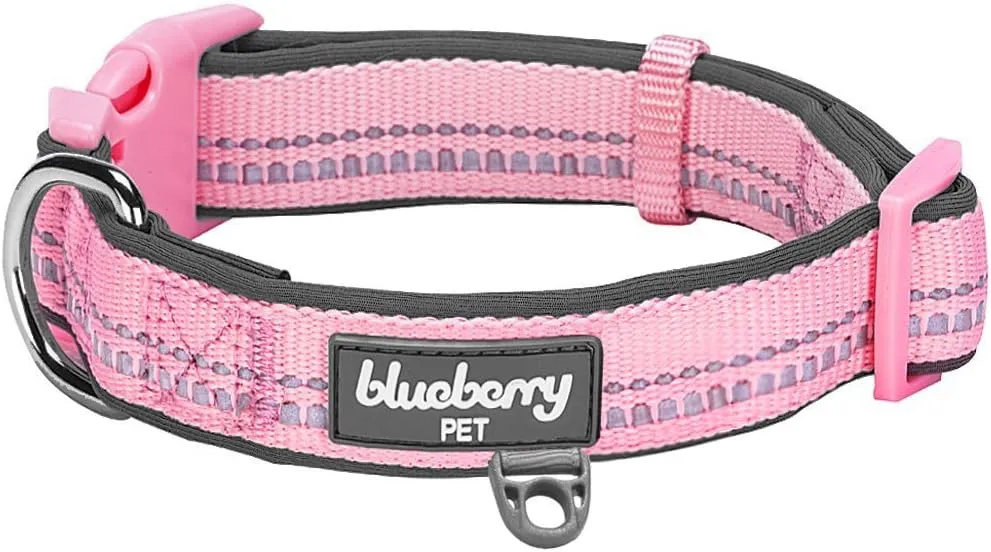 Blueberry Pet Soft & Comfy Oriental Flower Neoprene Padded Adjustable Dog Collar