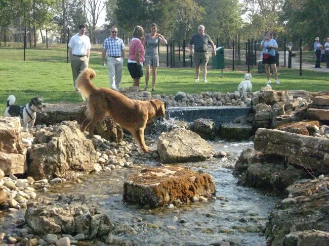 Chesterfield Central Park Dog Area, Chesterfield