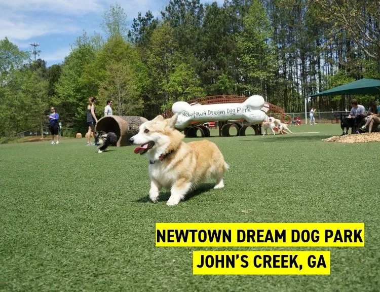 Newtown Dream Dog Park, John’s Creek, GA