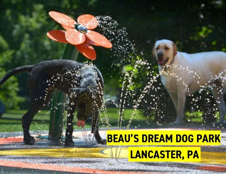 Beau’s Dream Dog Park, Lancaster, PA