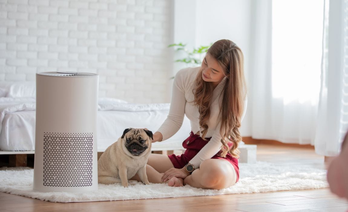 Air Purifier for Dog Smell