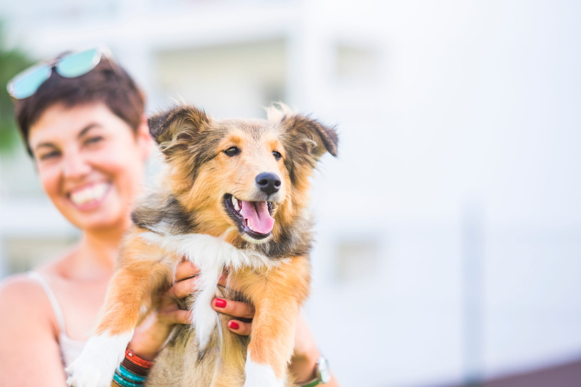 Happy Dog