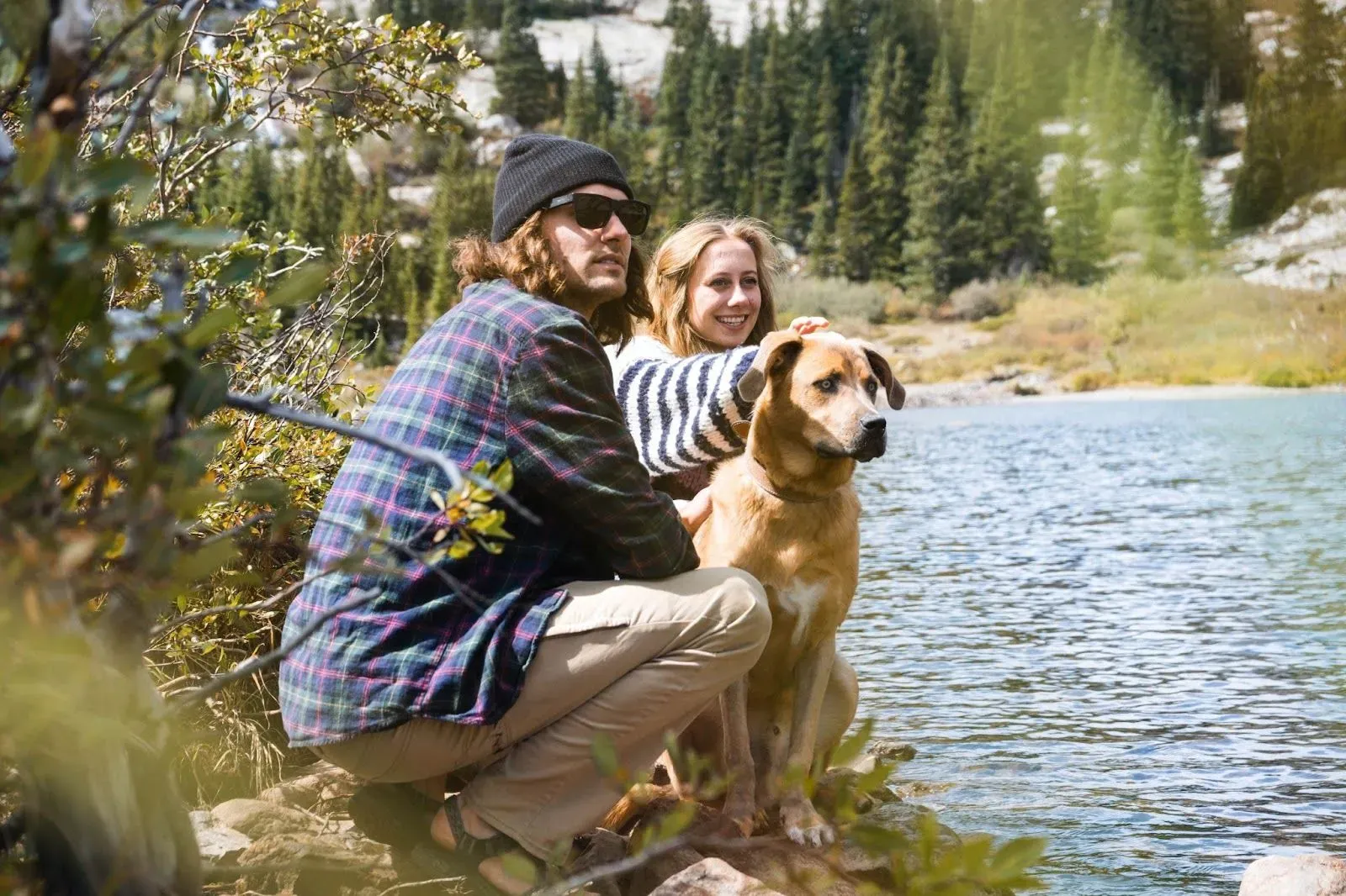 Most Dog-Friendly National Parks 
