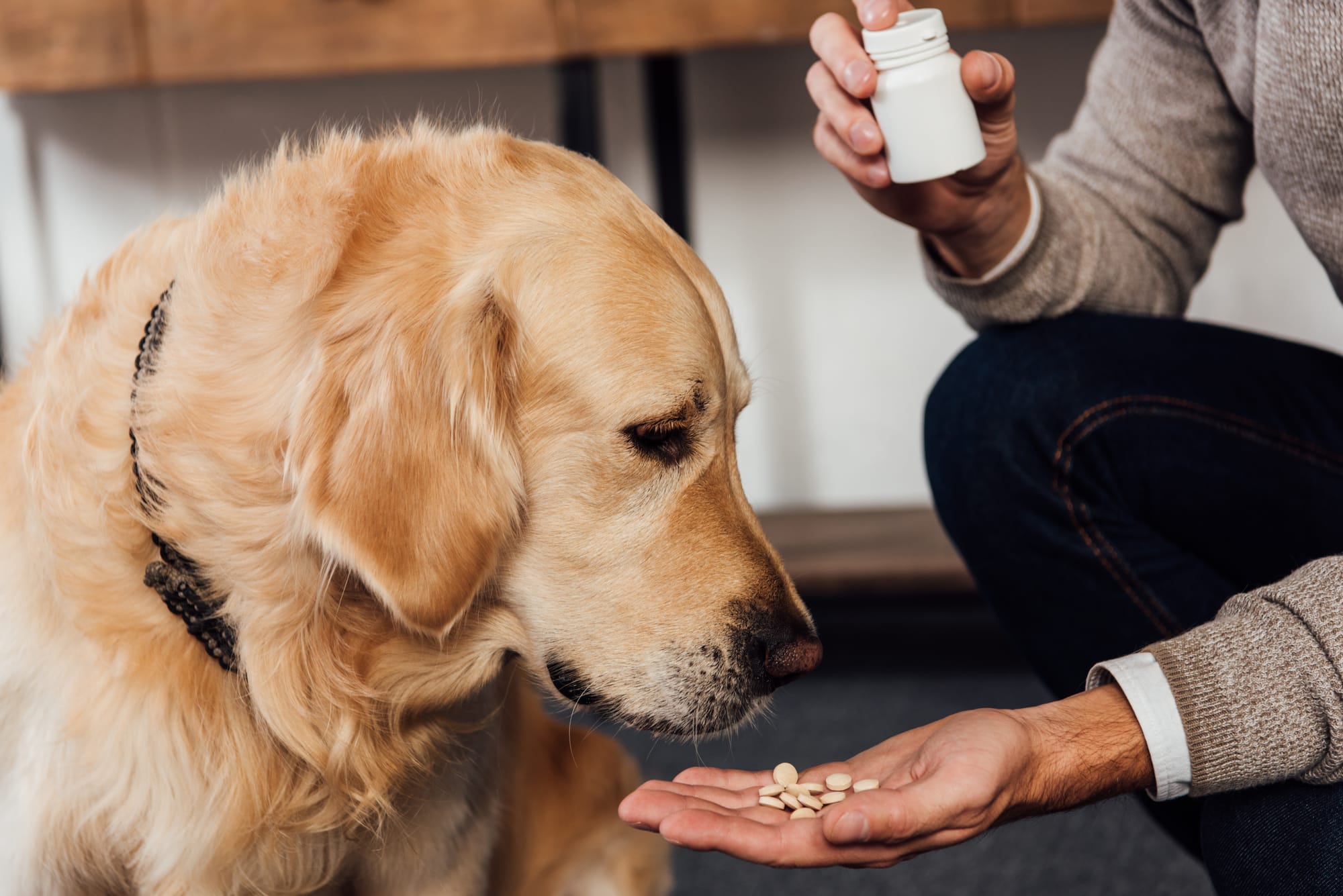 Dog Shedding Supplements