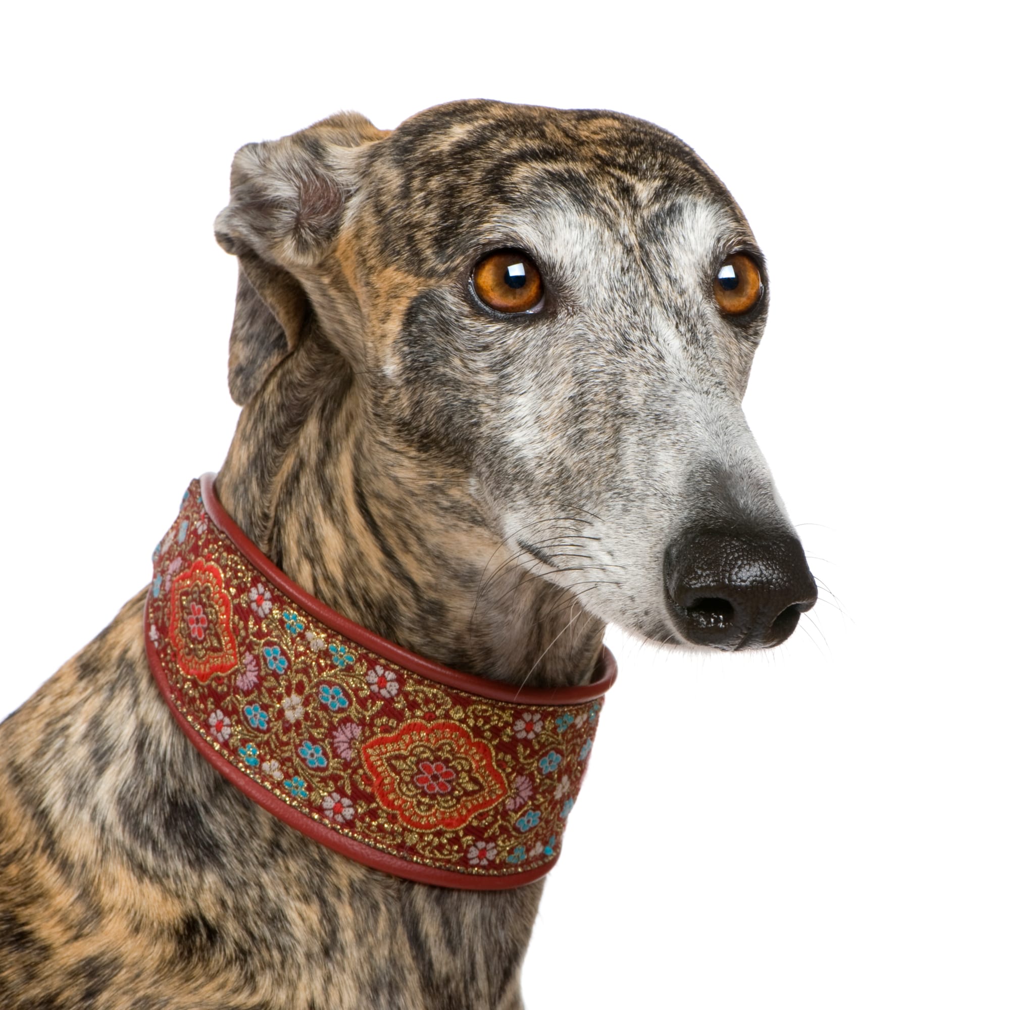 What is a Martingale Collar