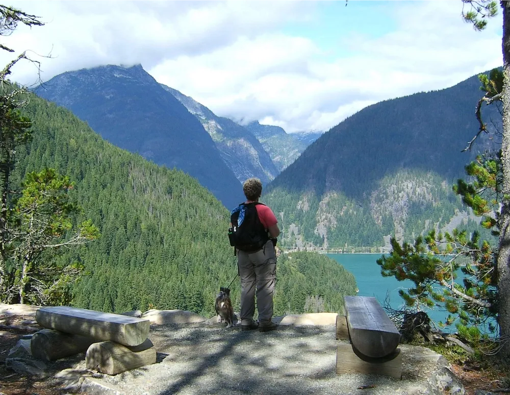 dog in north cascades national park