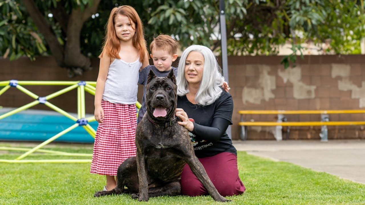 Are Presa Canario Dogs Good for Families?