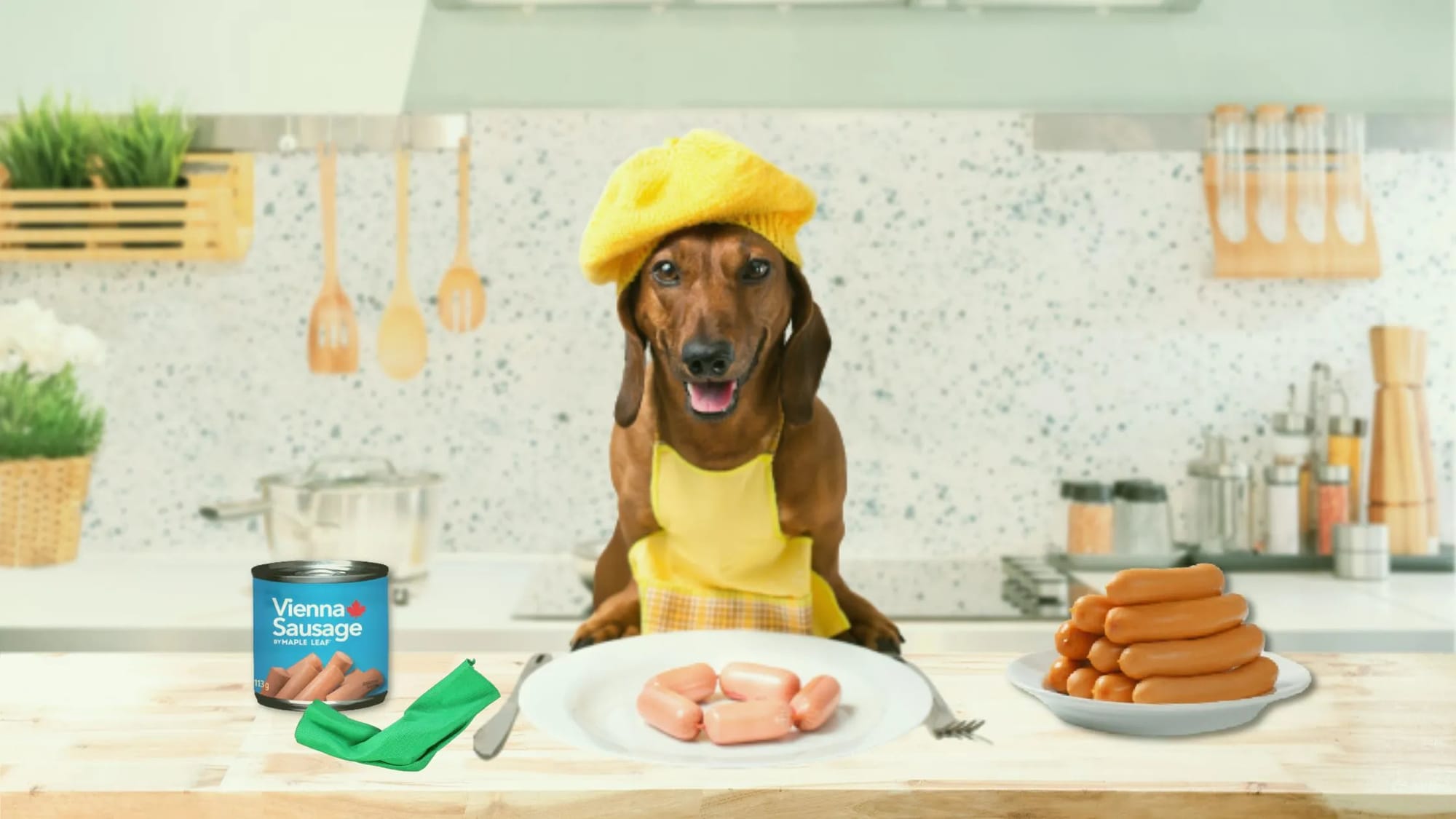 Can Dogs Eat Vienna Sausage?