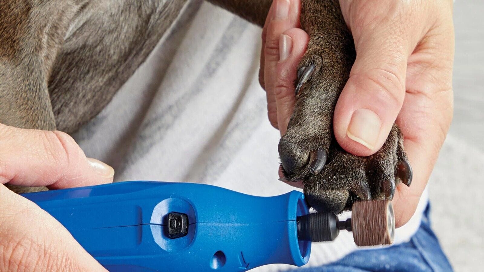 Nail Dremel for Dogs