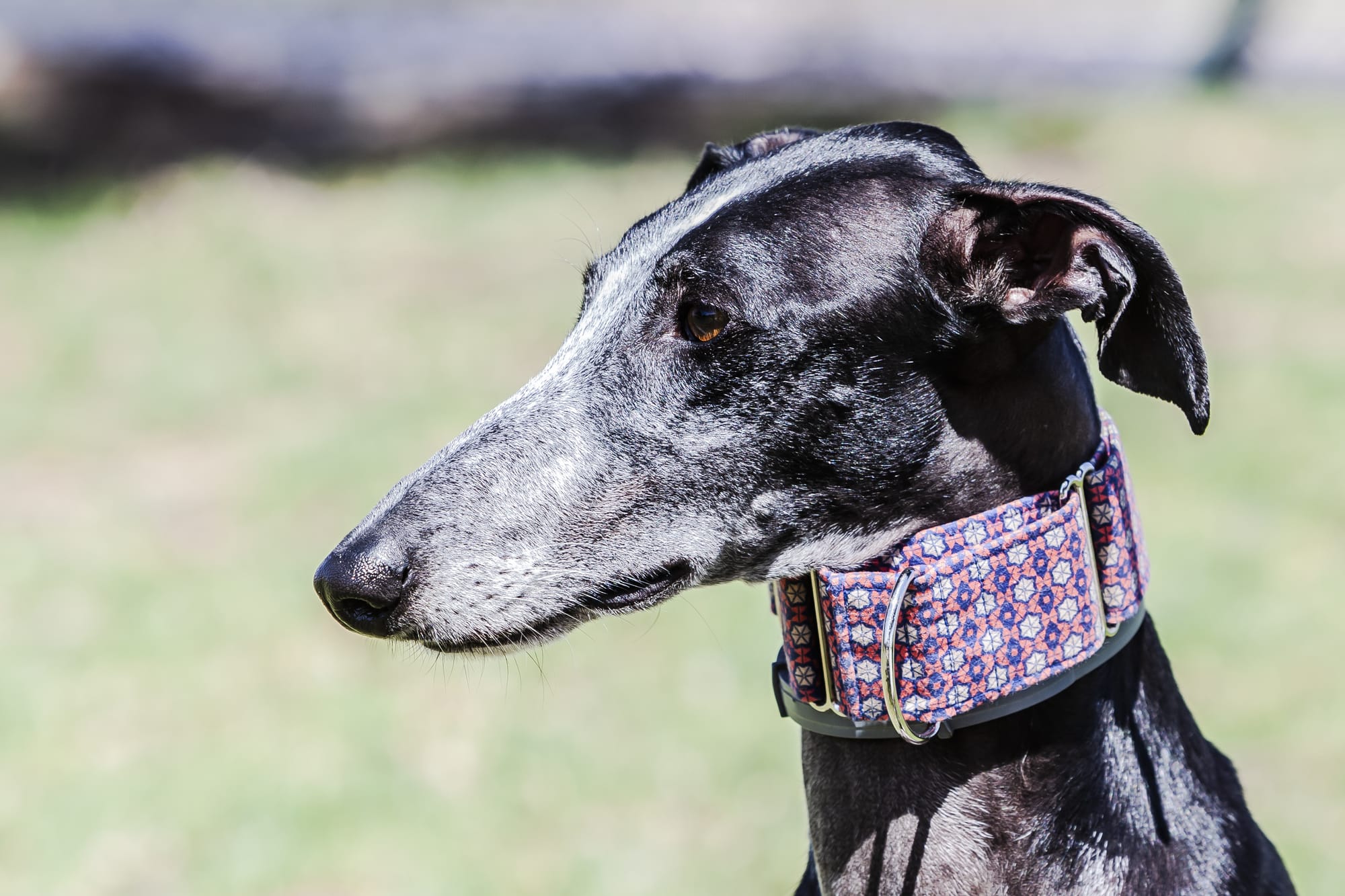 What is a Martingale Collar