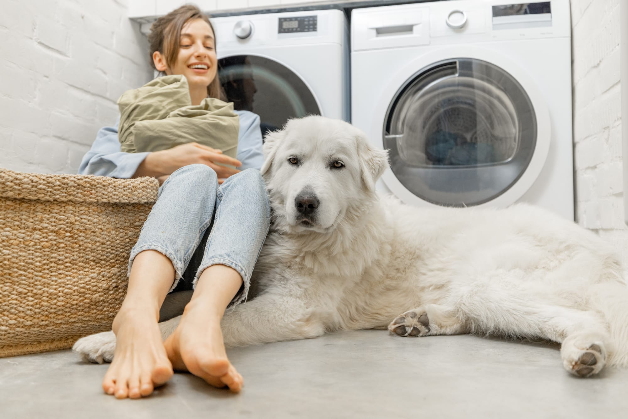 Dog Safe Laundry Detergent
