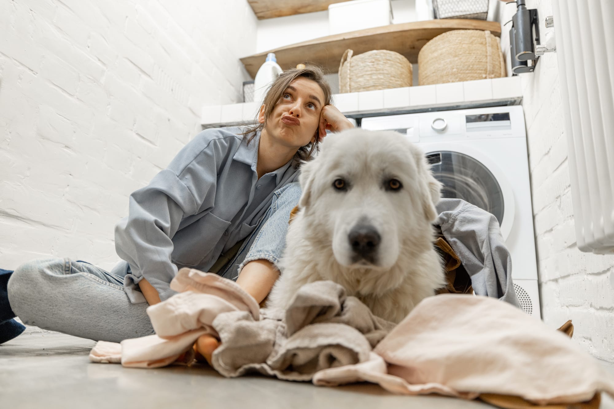 Dog Safe Laundry Detergent