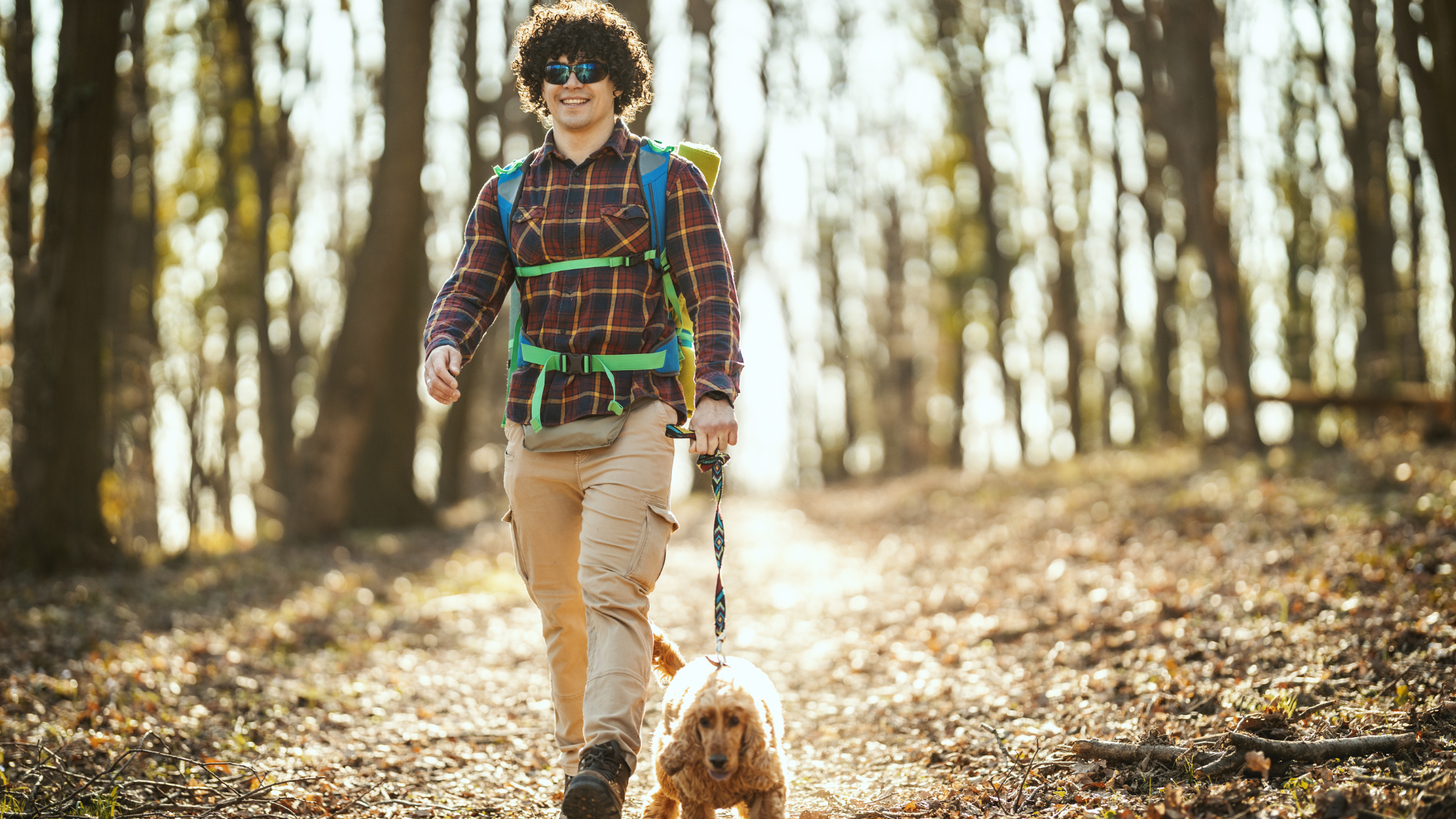 Long-Distance Hiking Trails Suitable for Dogs