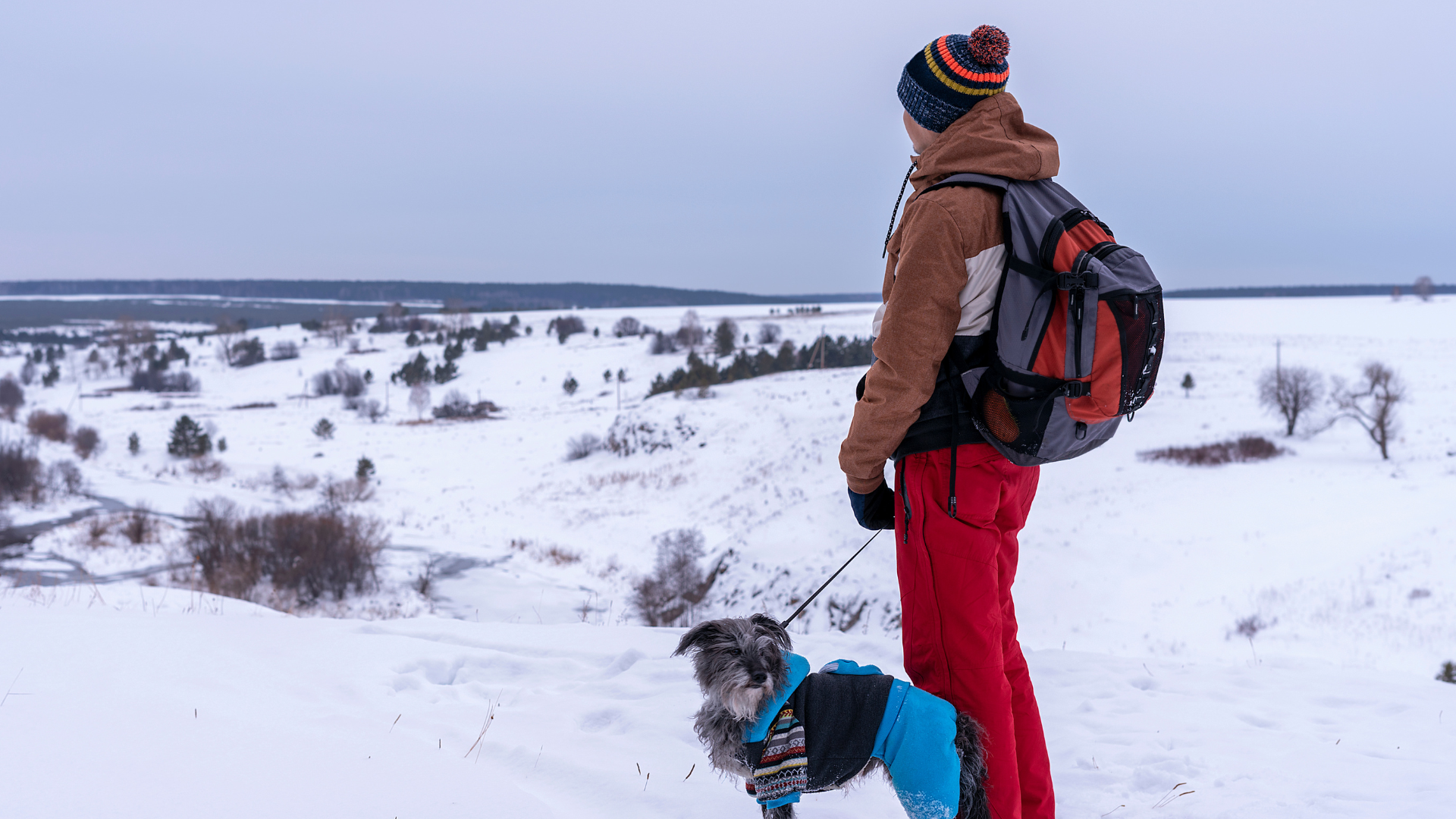 Winter Hiking Gear for Your Dog