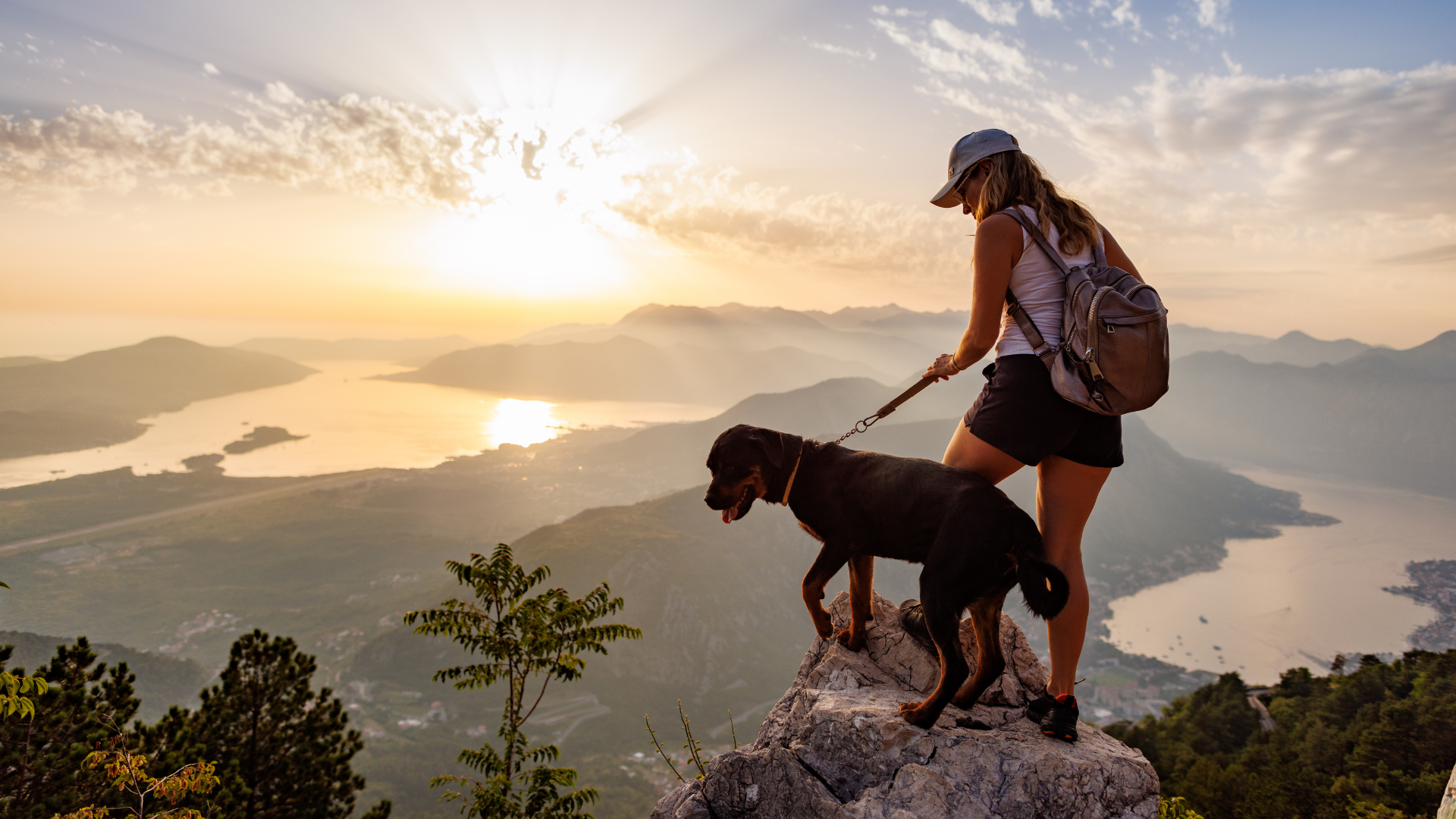 Hiking with Your Dog