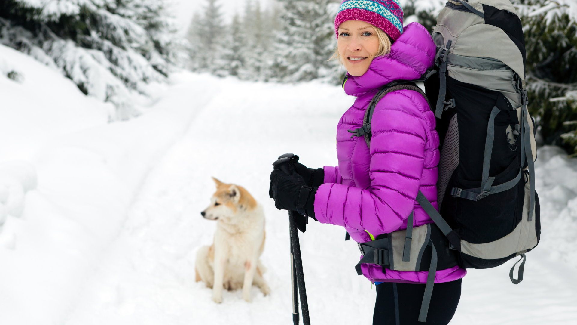 Winter Hiking Gear for Your Dog