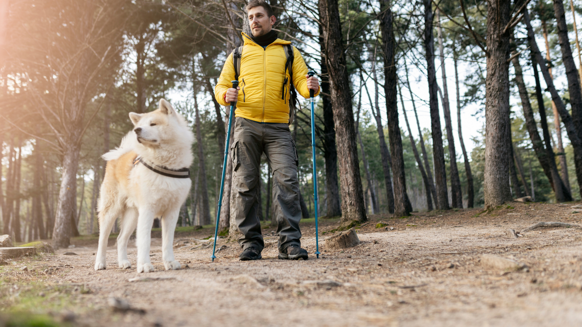 How to Read Dog Body Language on the Trail
