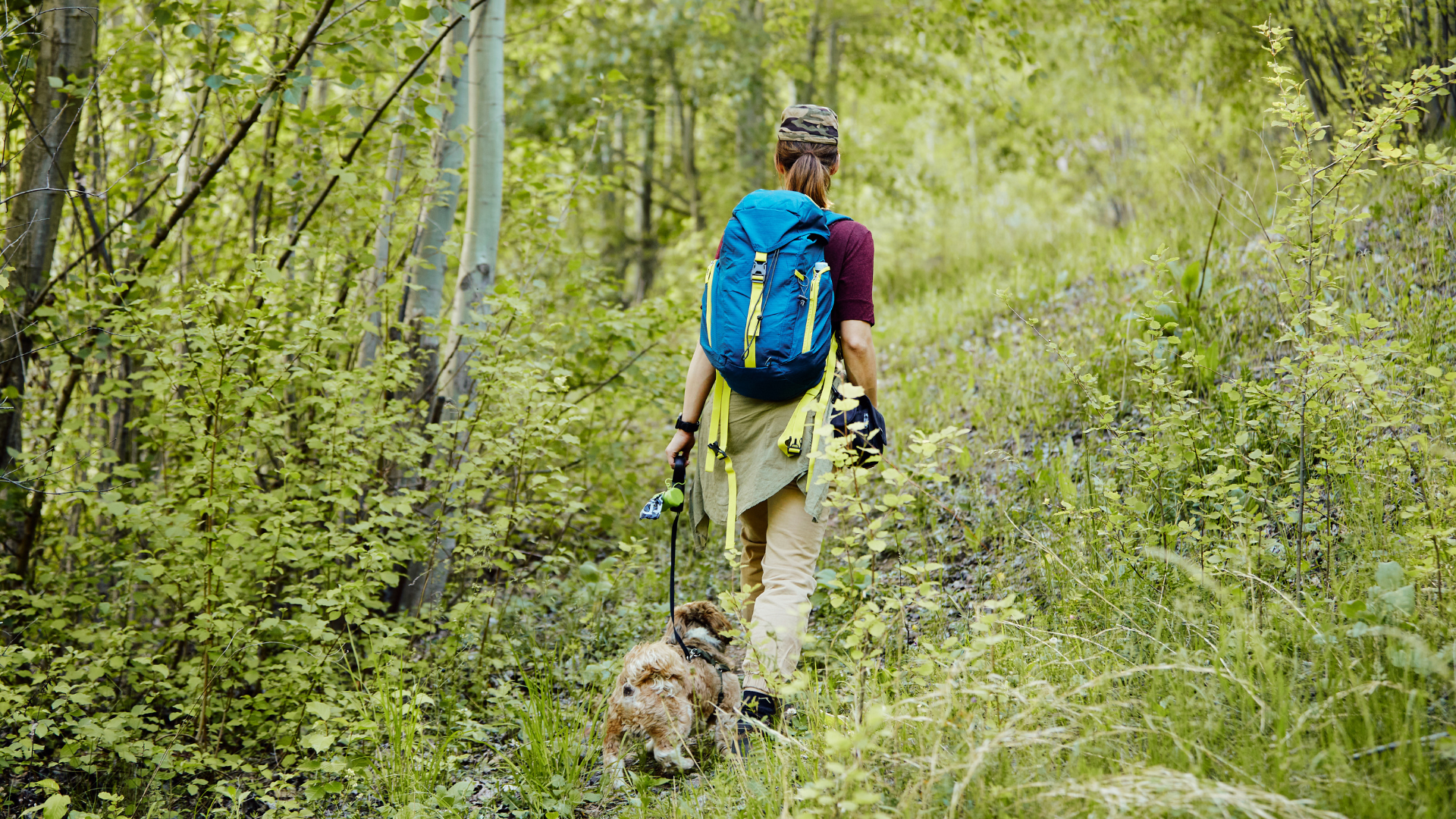 Nutrition and Hydration Tips for Long Hikes with Your Dog