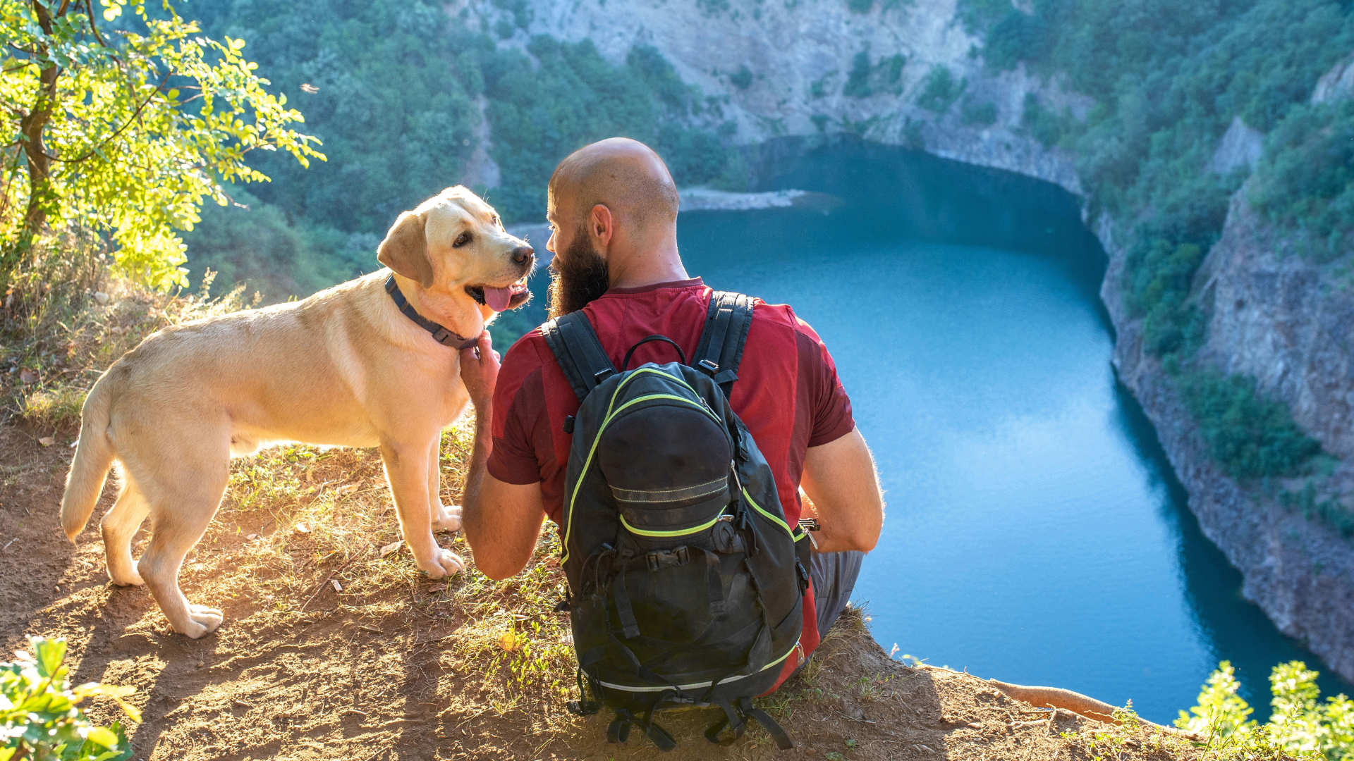 Dog-Friendly National Parks for Hiking