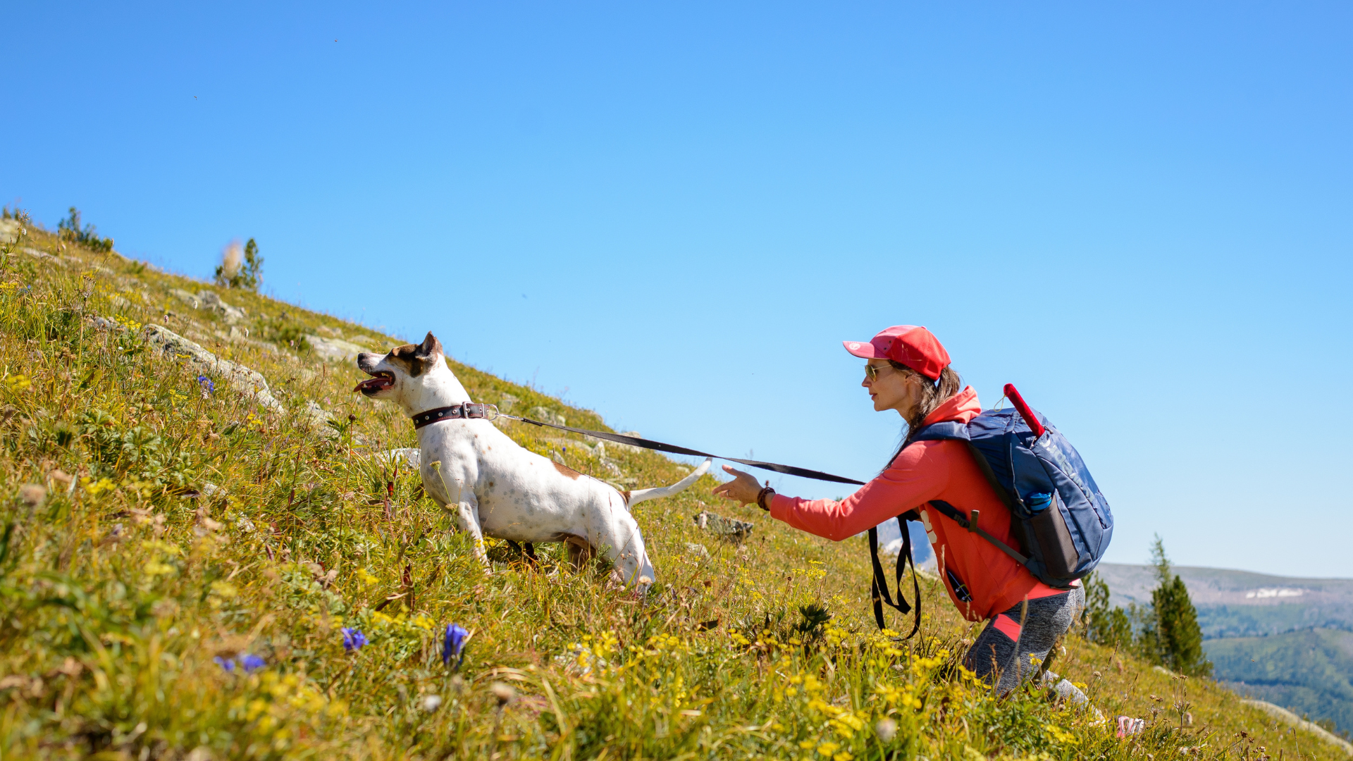 Planning a Multi-Day Hike with Your Dog