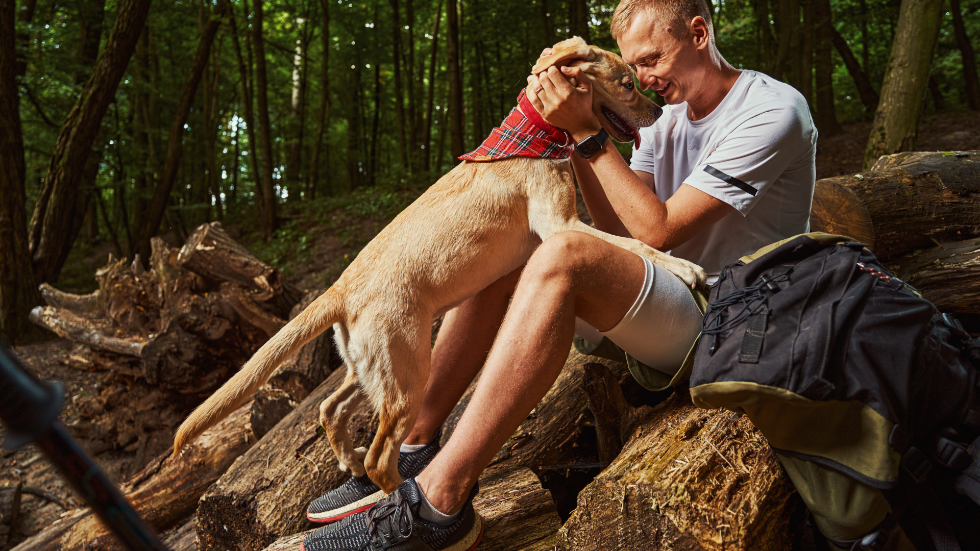 Nutrition and Hydration Tips for Long Hikes with Your Dog
