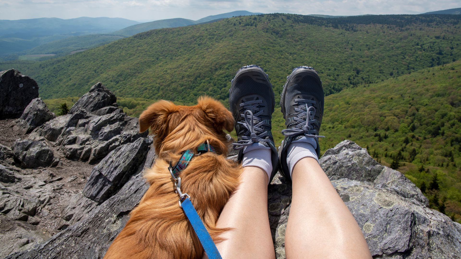 Dog-Friendly National Parks for Hiking
