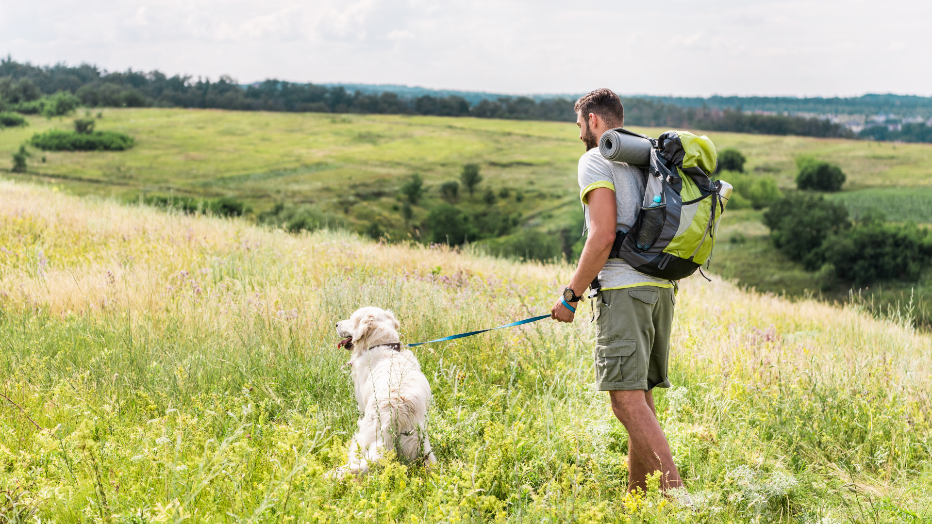 Overcoming Common Dog Hiking Challenges