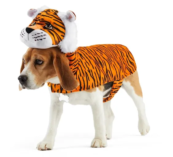 Bootique Fierce Feline Pet Costume 
