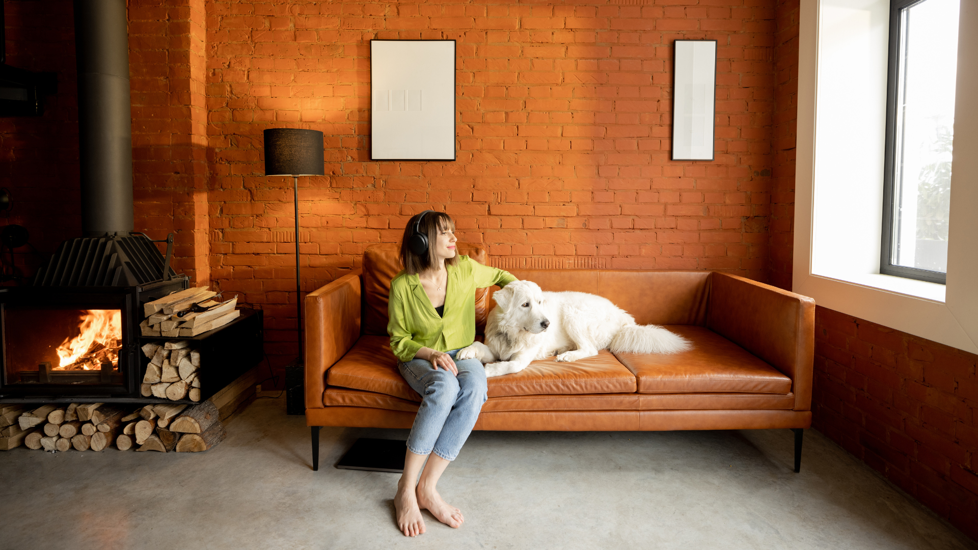 Finding a Dog-Friendly Apartment in the City