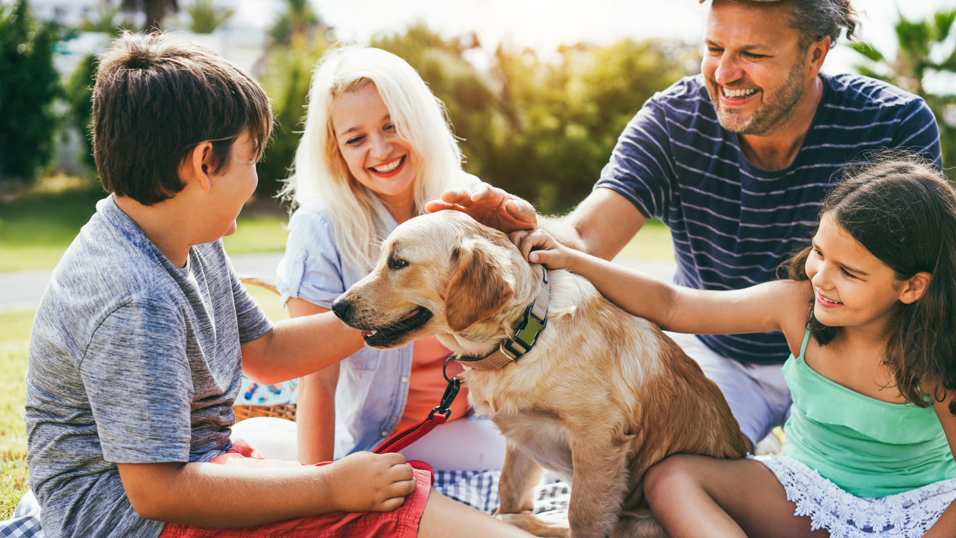 Best Dog Breeds for Families with Kids