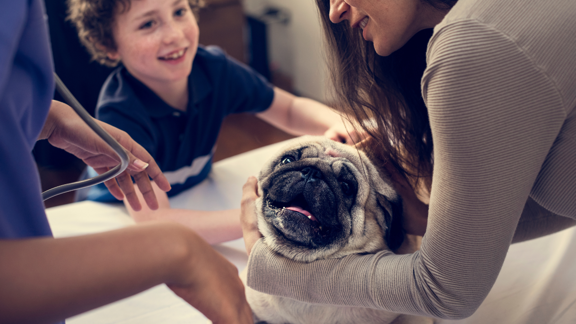 Best Dog Breeds for Families with Kids