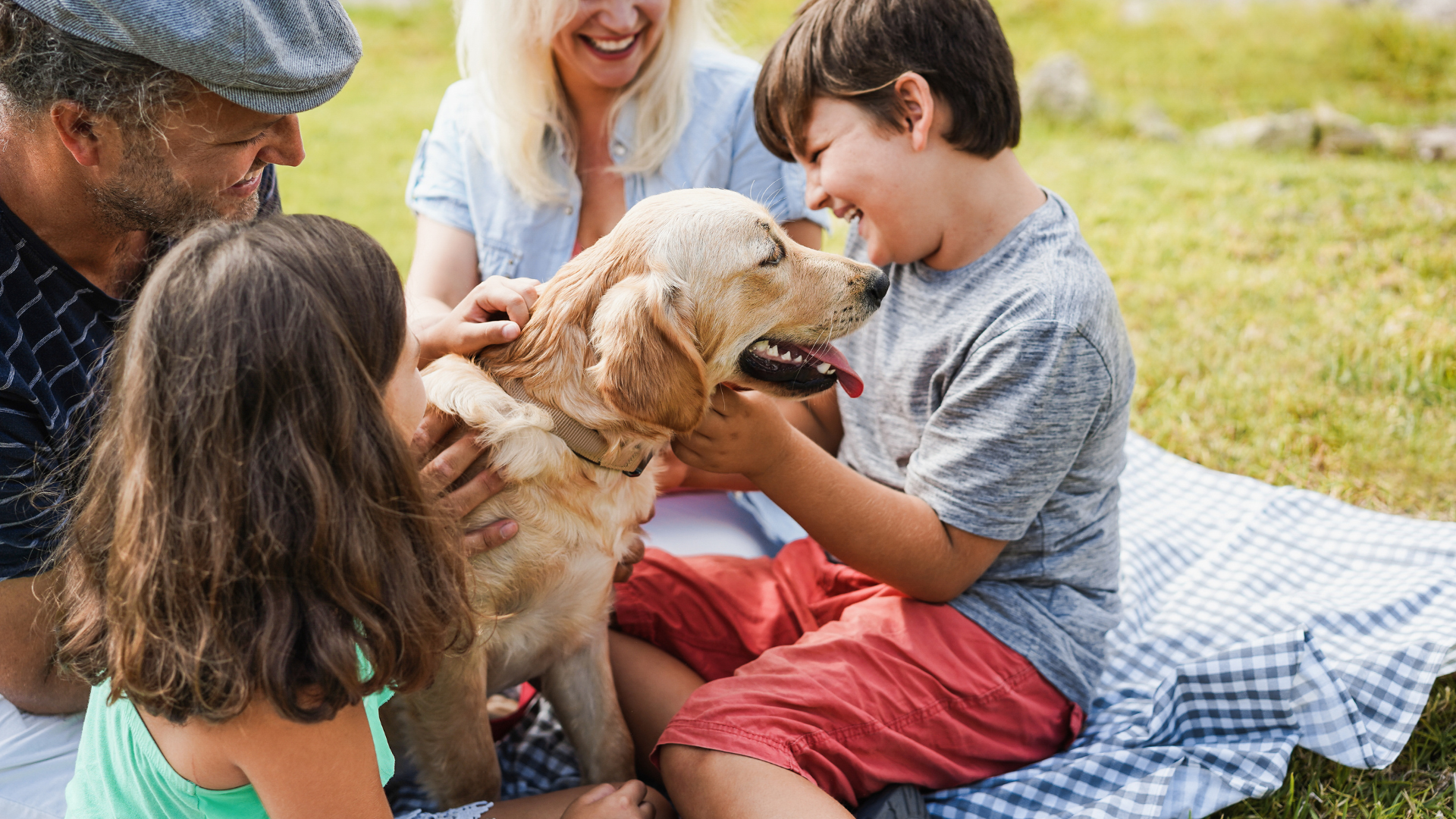 best dogs for kids