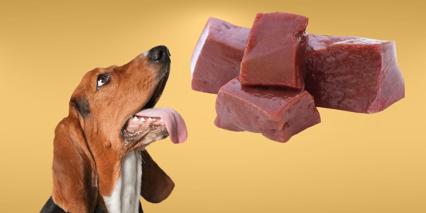 Can Dogs Have Liver?
