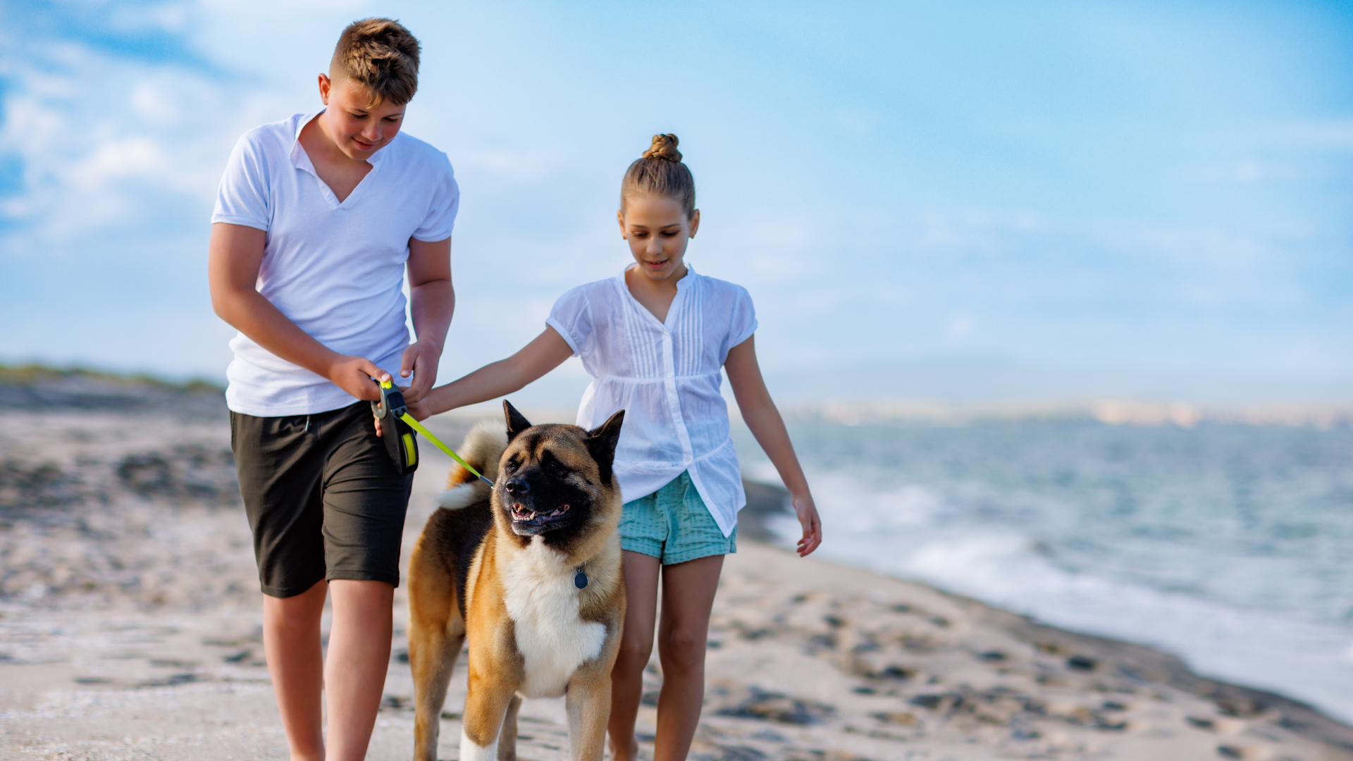 Organizing a Dog-Friendly Family Vacation
