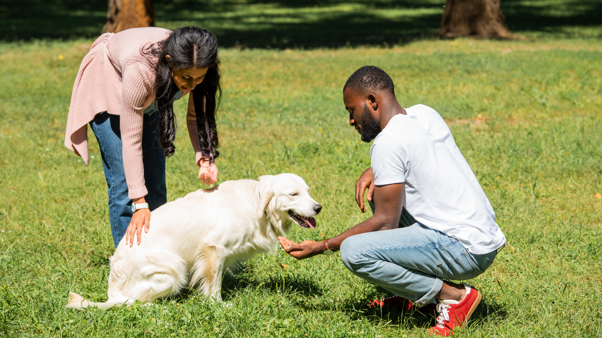 Dog Park Etiquette