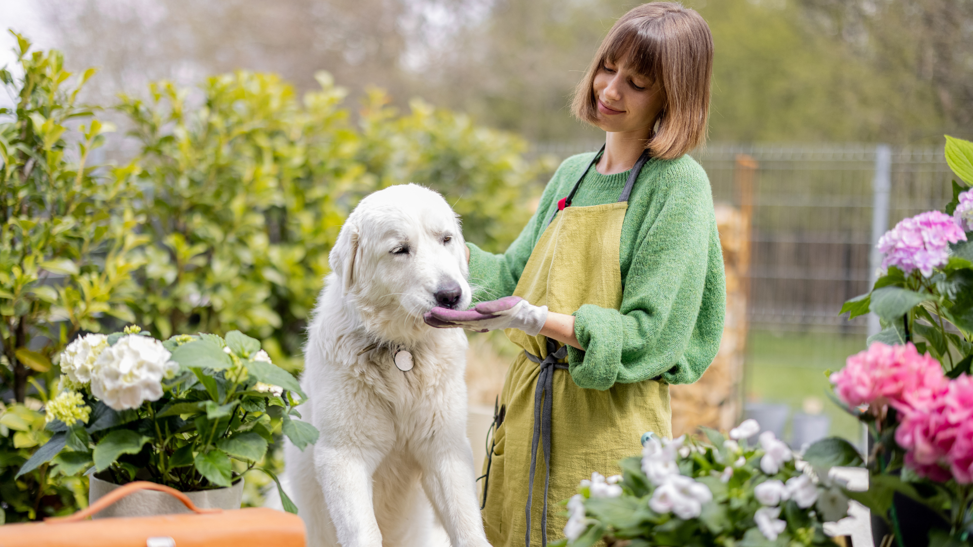 Eco-Friendly Dog Care