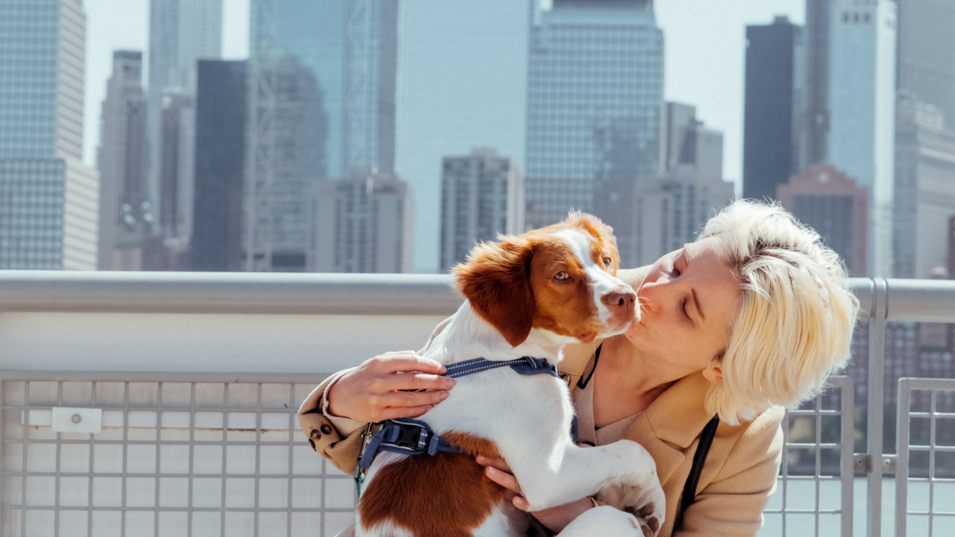 How to Choose the Right Dog Breed for City Living?