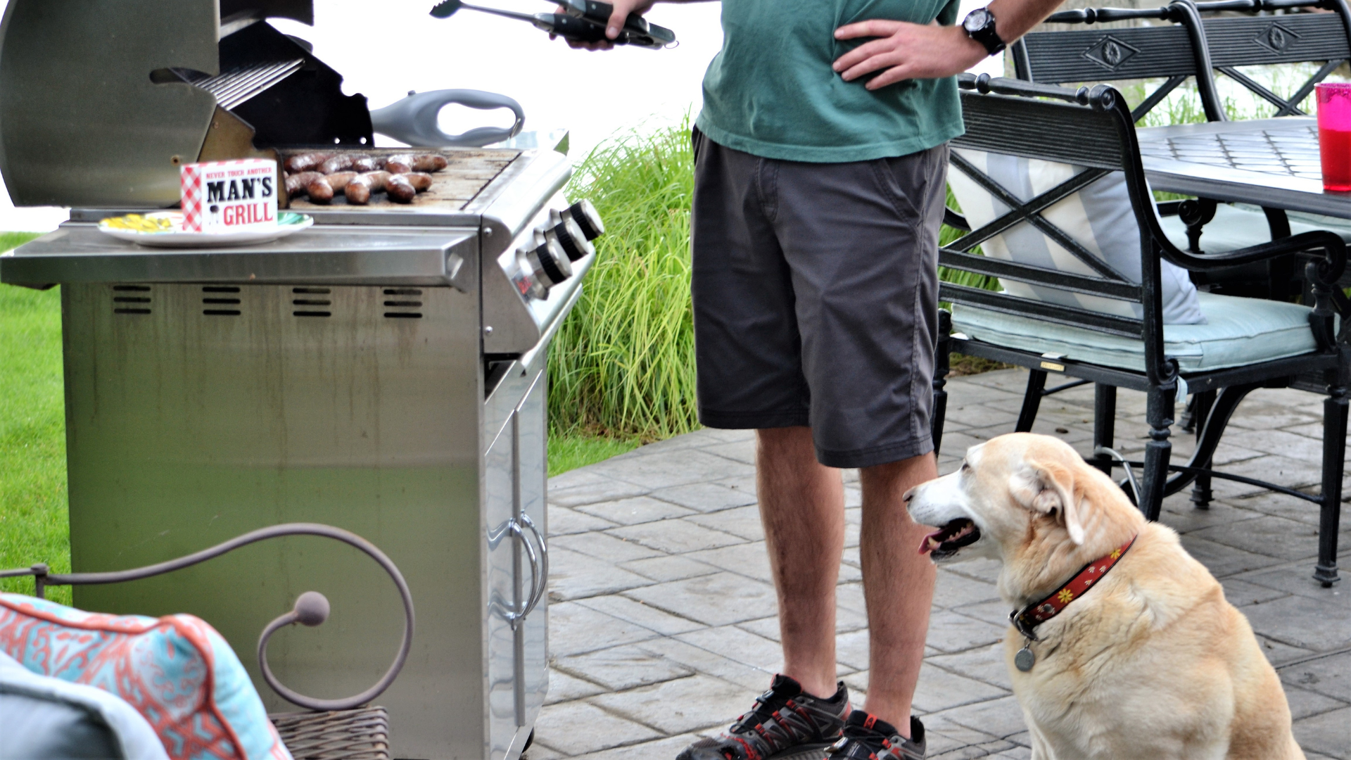 How to Host a Dog-Friendly Barbecue or Outdoor Party