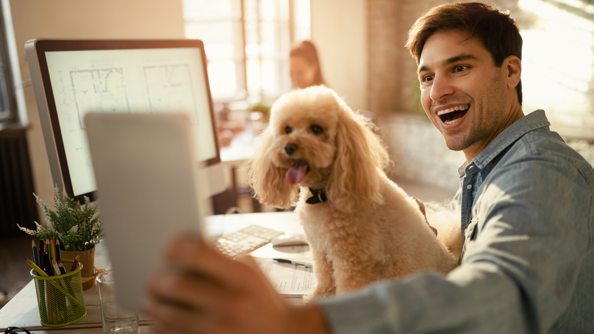 How to Keep Dogs Entertained While at Work