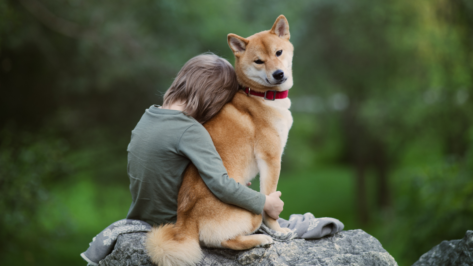 Why Doesn't My Dog Like Me