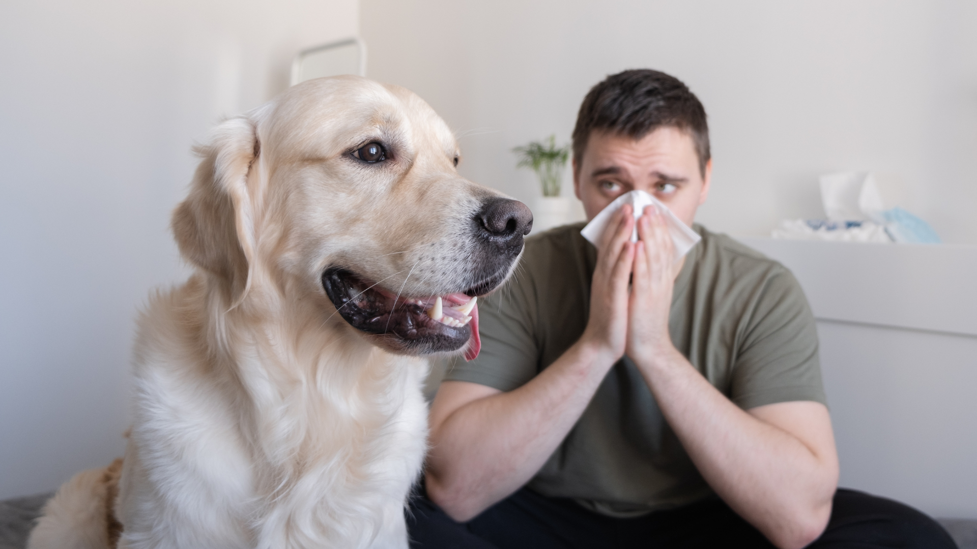 Most Common Dog Allergies