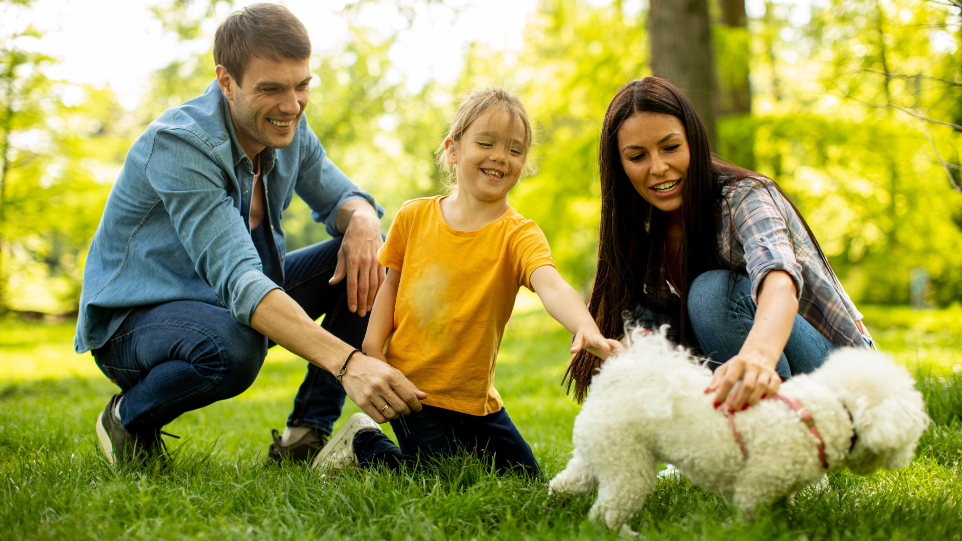 Outdoor Family Activities with Dog