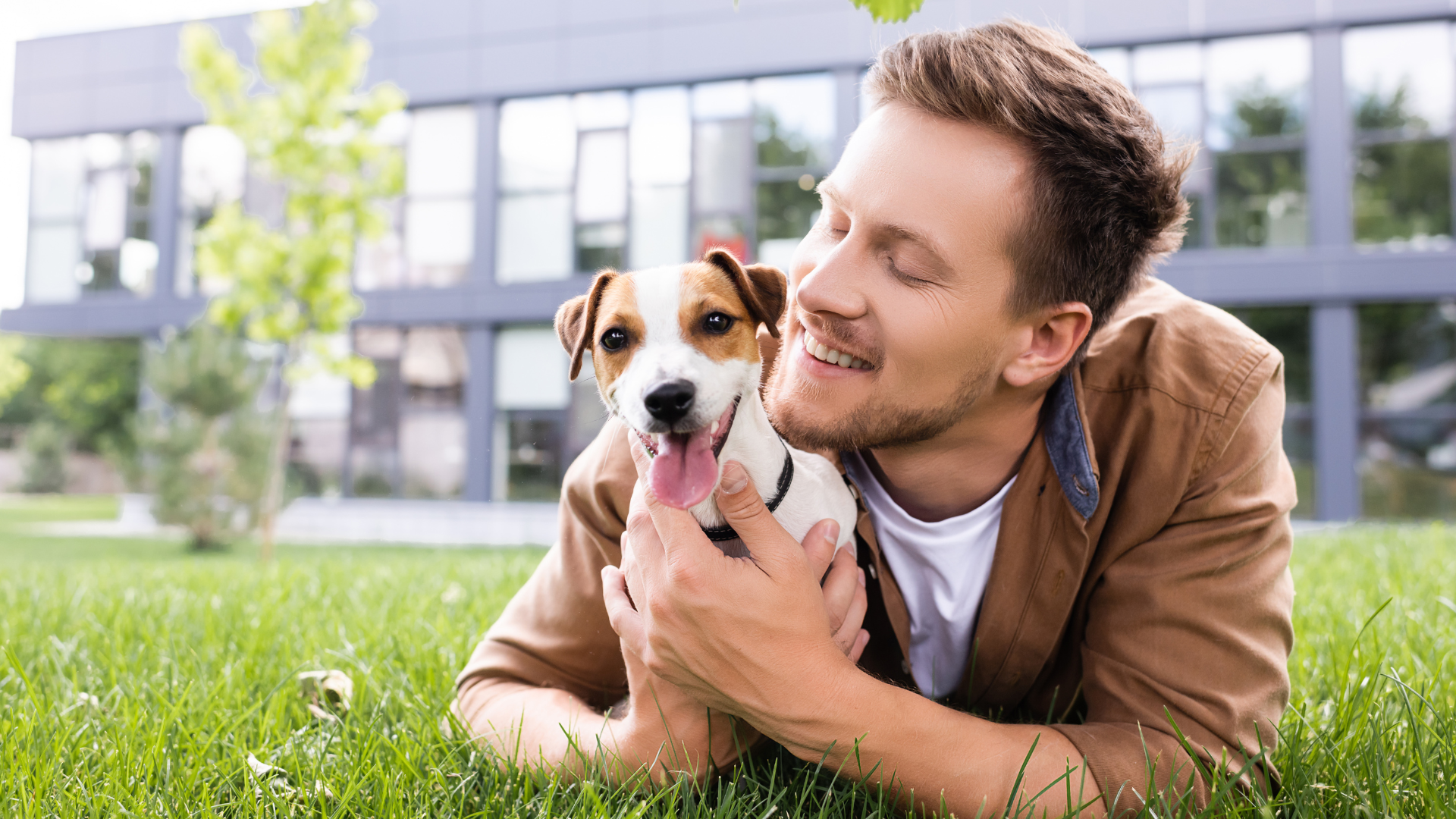 Pet Insurance for Urban Dog Owners