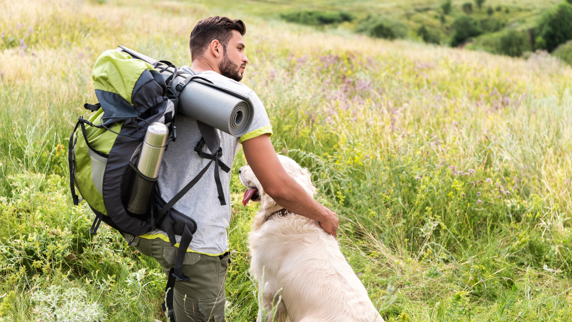 Preparing Your Dog for Their First Hike